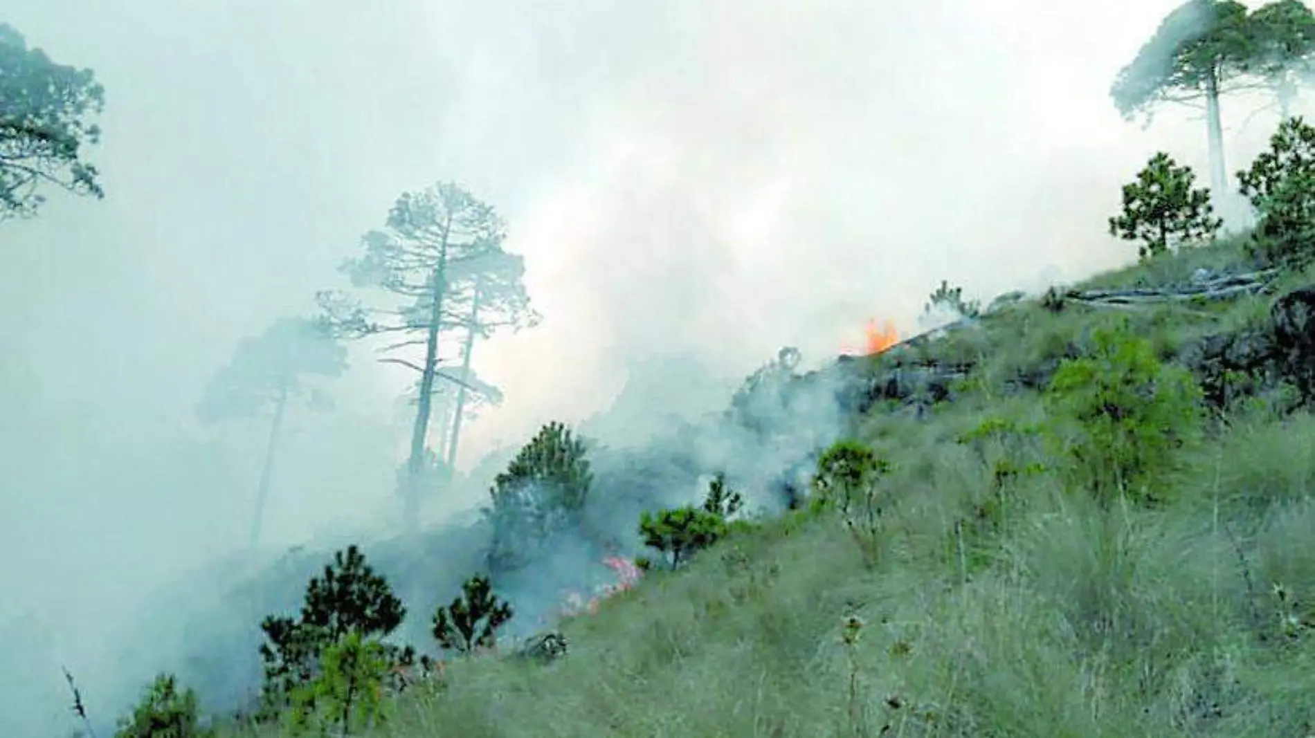 Incendio Veracruz